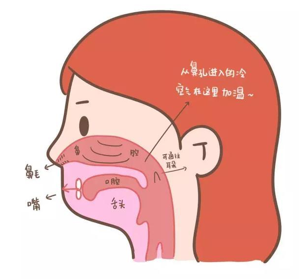 ���ױ�������쵽�� �����Ա����ж����� ��ð������Ա��׵�����