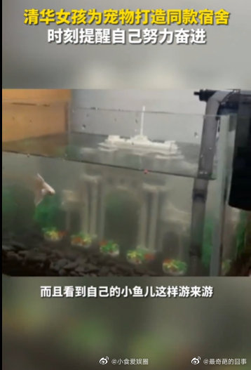 ����������Ϊʲô������ �廪Ů��Ϊ���������ͬ������