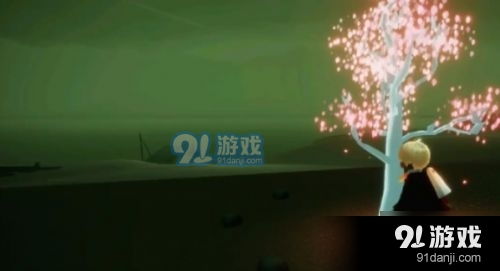 光遇雨林小树苗在哪里